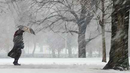 «Знатно потреплет Беларусь» — Синоптики объявили оранжевый уровень опасности из-за порывистого ветра