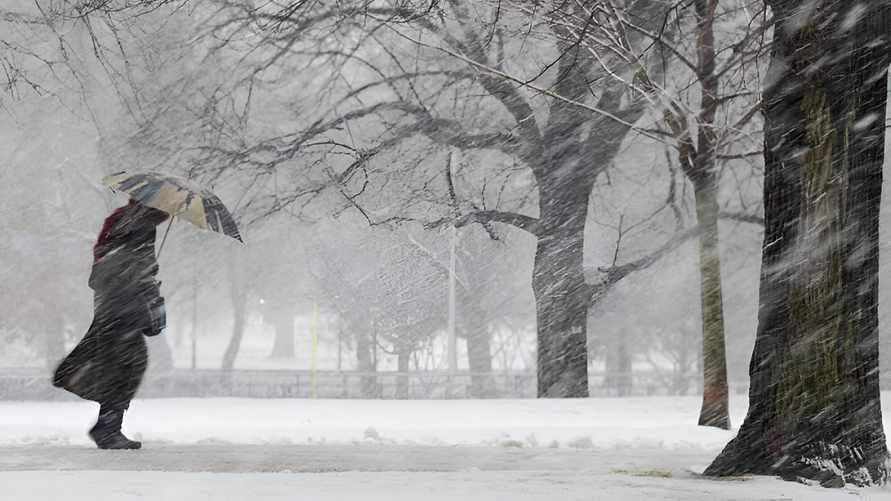 Фото иллюстрационное: sreda24.ru