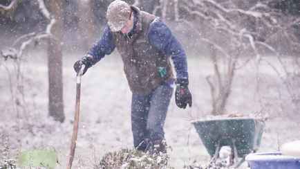 Минздрав предупредил белорусов, что делать, если , приехав на дачу, почувствовали «спутанность мыслей»