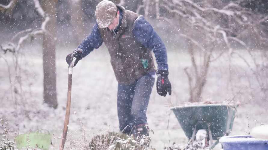 Минздрав предупредил белорусов, что делать, если , приехав на дачу, почувствовали "спутанность мыслей"