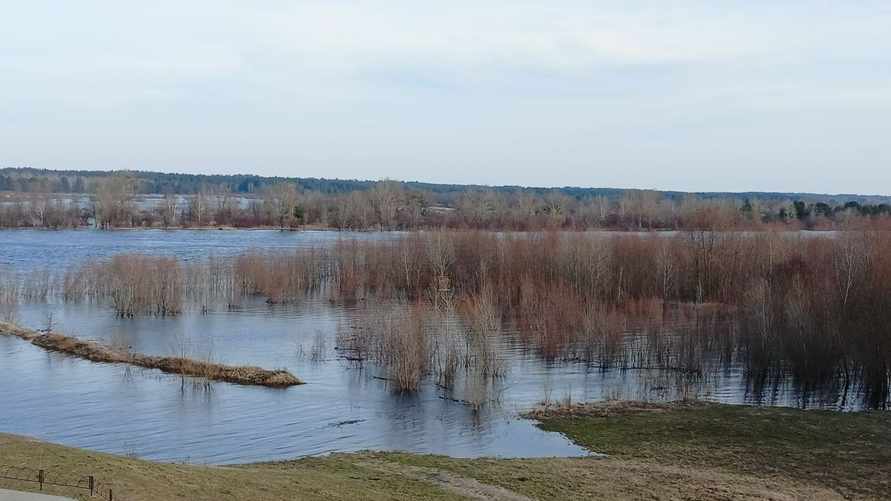 Разлив Припяти 27 февраля в Мозыре
