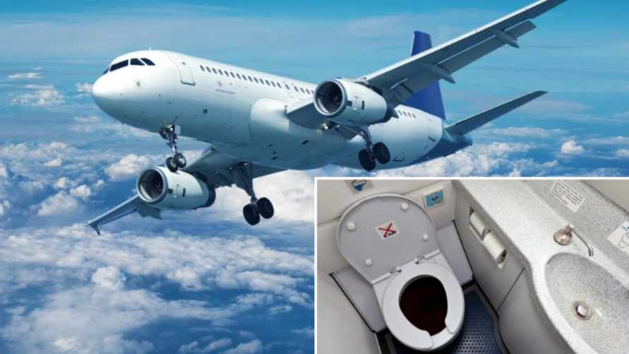 Как работает туалет в самолете? Узнали, могут ли отходы упасть на землю