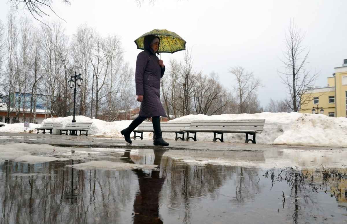 Фото иллюстрационное: Константин Седегов / parmanews.ru