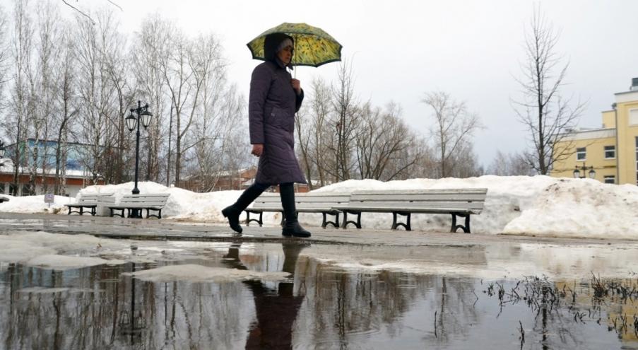 Необычно тёплую для февраля погоду в Беларуси предопределила