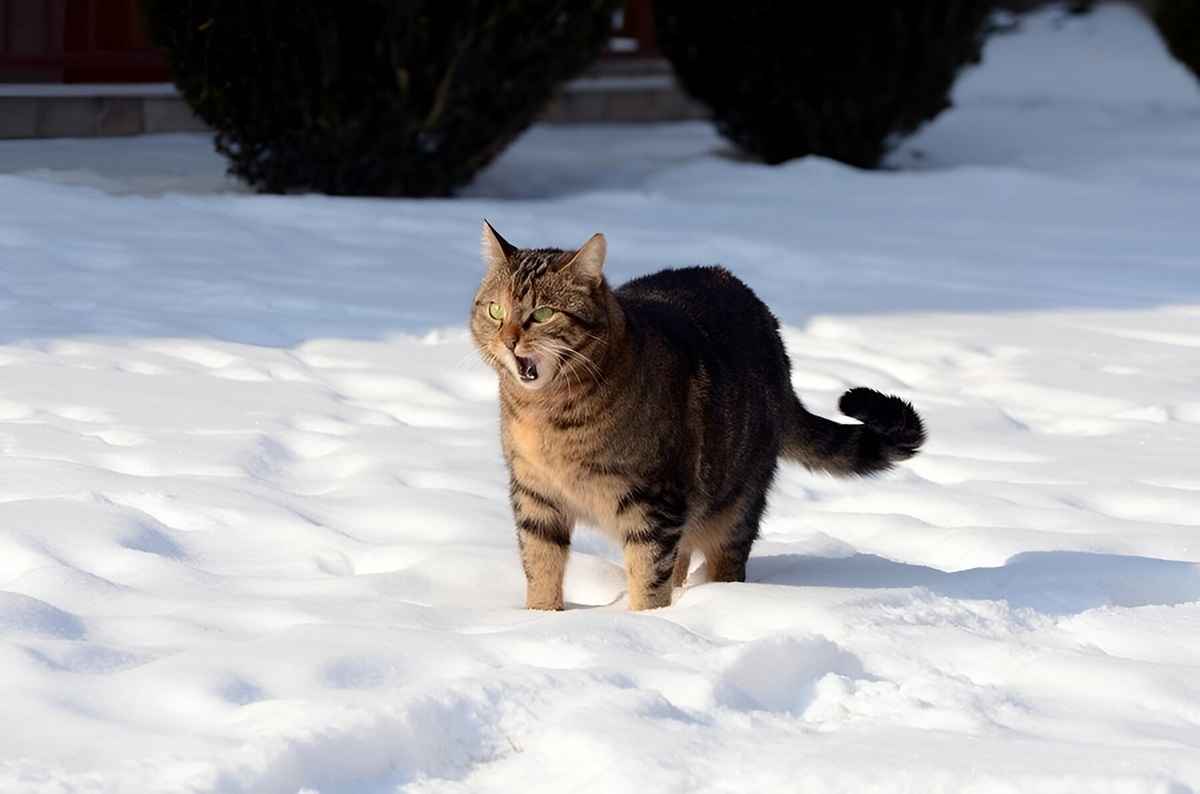 Фото иллюстрационное