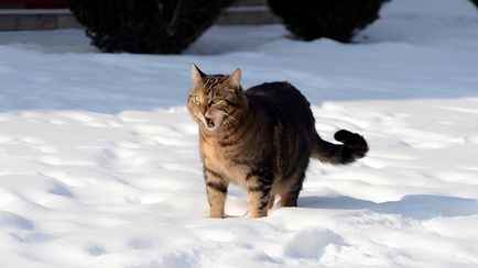 «Очень неровные прогнозы» — Синоптики попросили белорусов «не заглядывать» дальше, чем на 2-3 дня. Что случилось?
