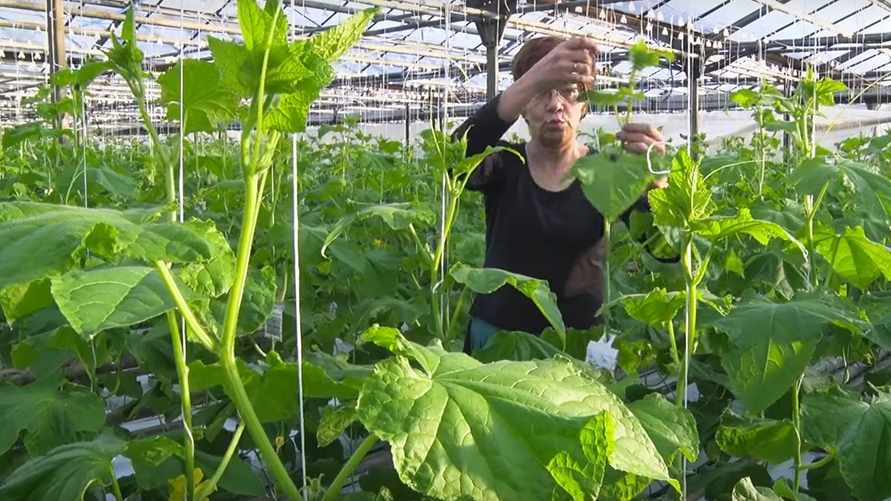 Скриншот видео "ГродноПлюс"