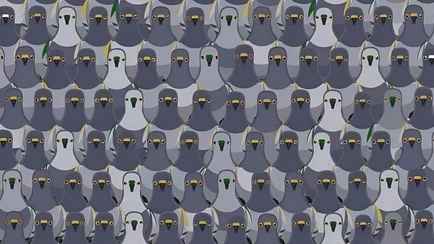 Только 1% людей справится? Найдите на картинке кота за 7 секунд