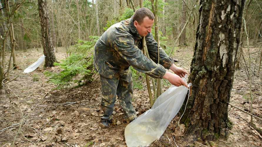 Фото Komkur.info.