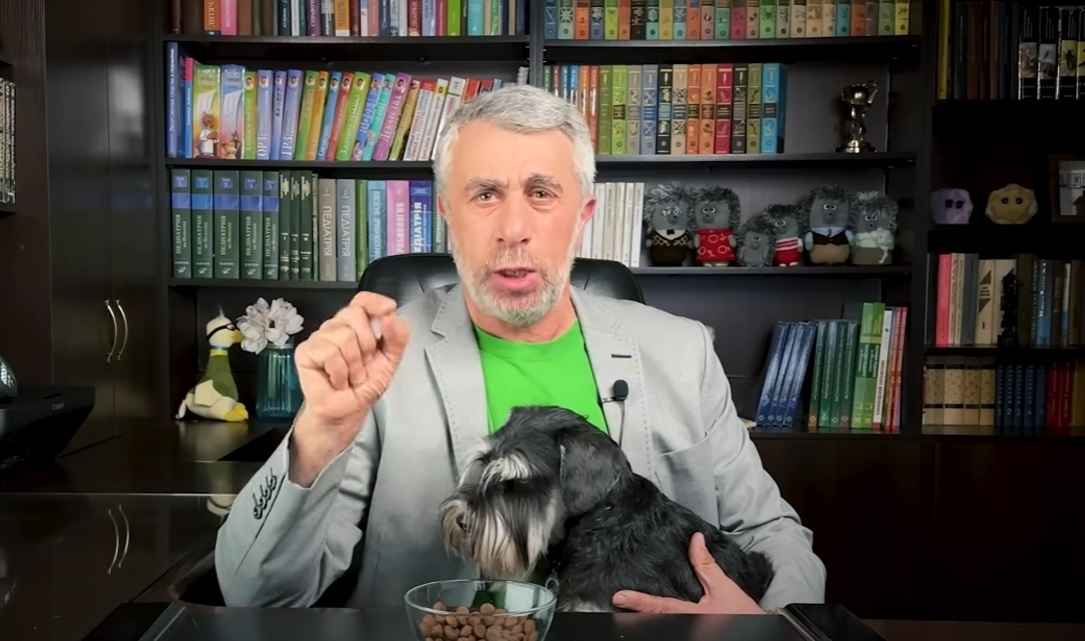 Что будет, если съесть собачий корм? Доктор Комаровский рассказал о последствиях