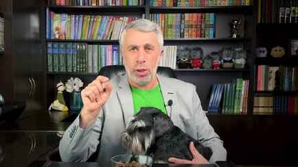 Что будет, если съесть собачий корм? Доктор Комаровский рассказал о последствиях