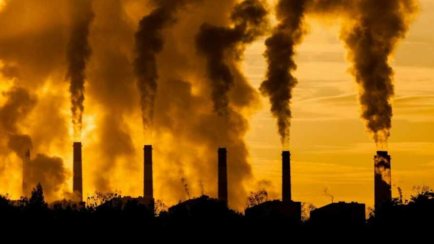 Фото носит иллюстративный характер