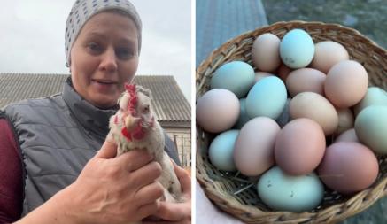 Видео из белорусской деревни о курах, несущих зеленые и голубые яйца, набрало 630 тыс. просмотров