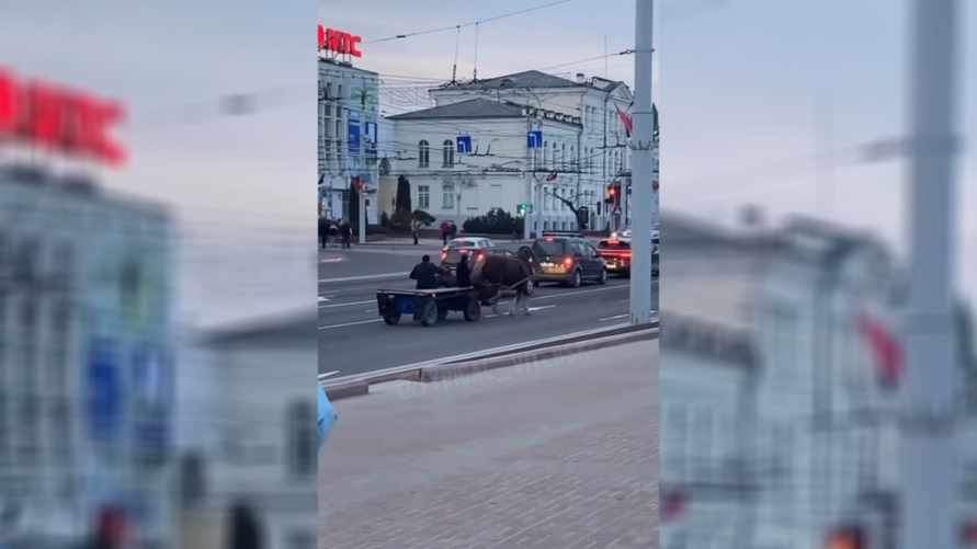 «А техосмотр есть?» - Ролик с конной повозкой в центре Витебска набрал сотни тысяч просмотров