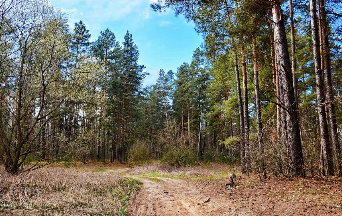 Фото иллюстративное