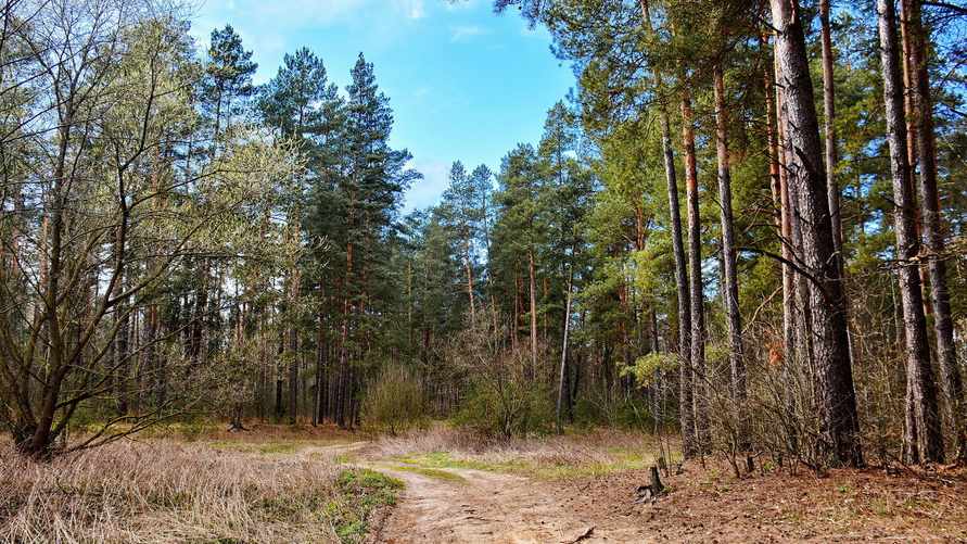 Фото иллюстративное