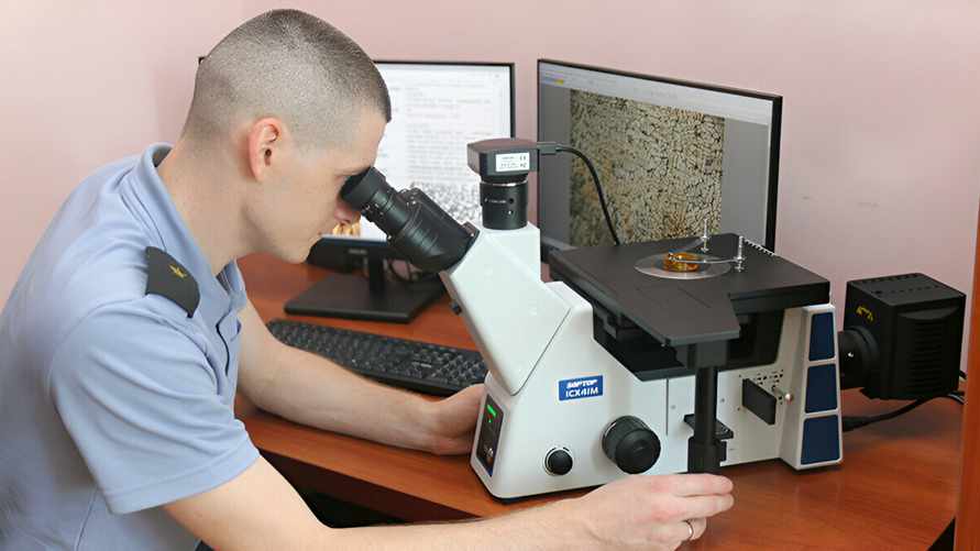 Фото носит иллюстративный характер.