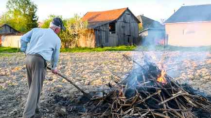 В МЧС рассказали, как сжигать мусор, чтобы не заплатить штраф в размере 1200 рублей