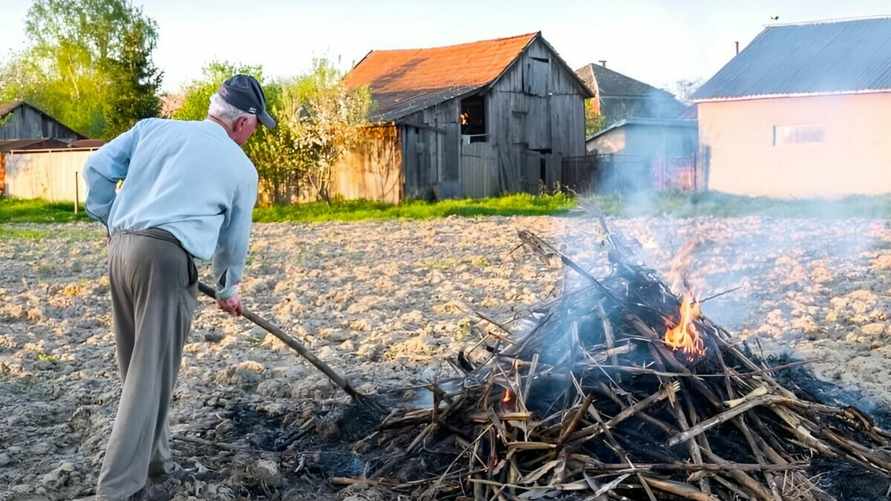 Фото носит иллюстративный характер