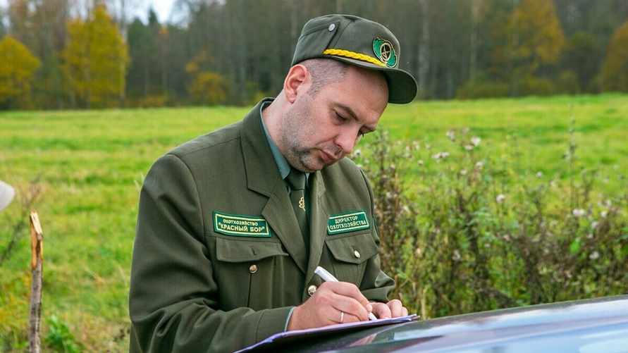 Фото иллюстрационное