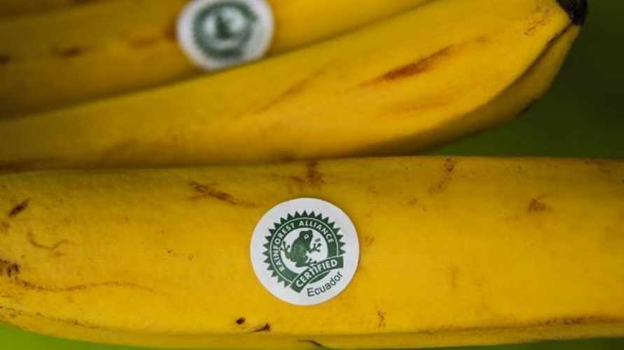 Бананы с "лягушкой" встревожили белорусских покупателей. В чем дело?