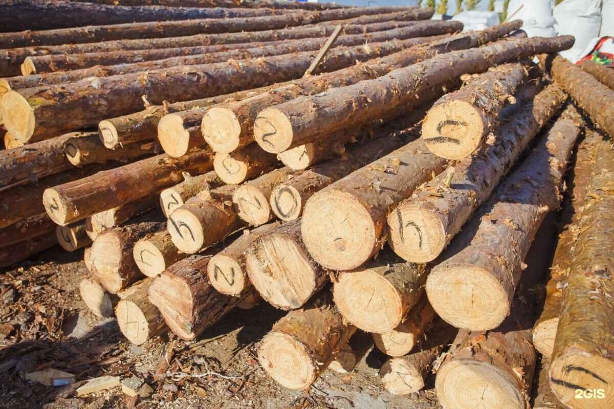 Фото иллюстративное