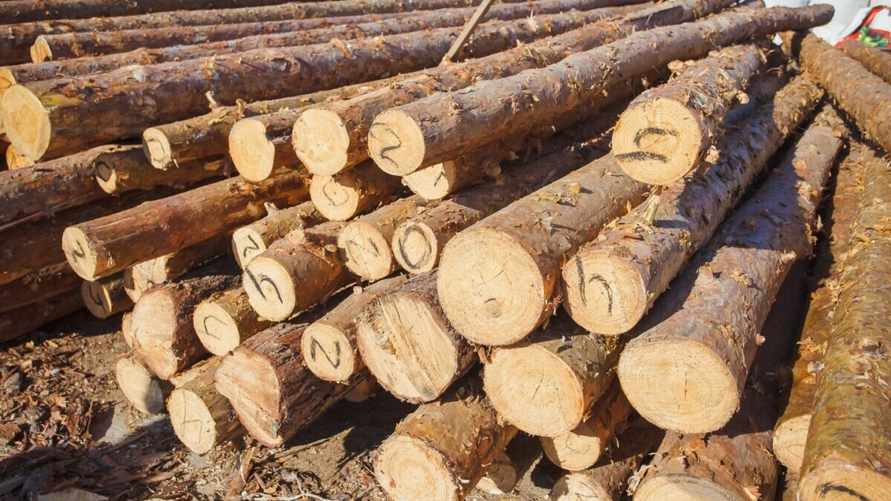 Фото иллюстративное