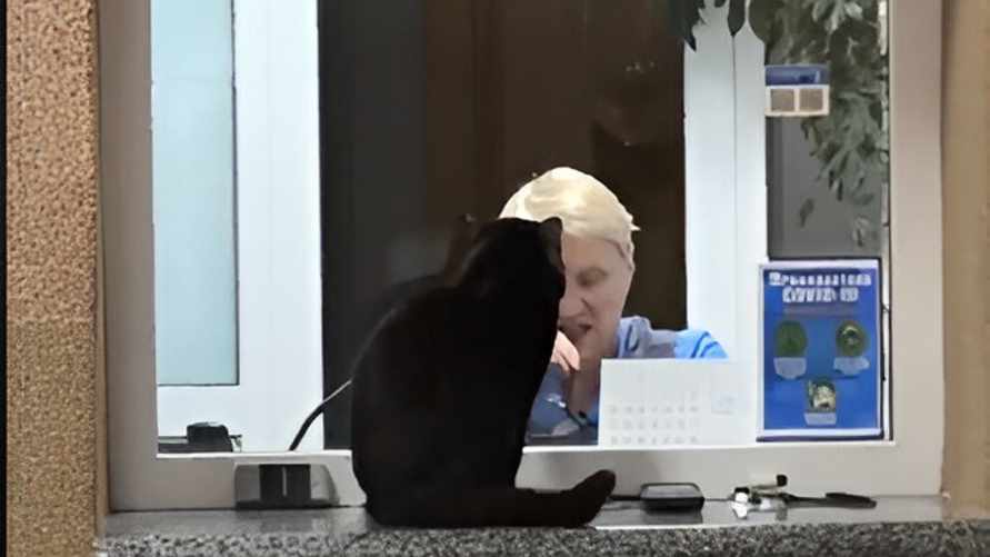 "Пытается догнать Воланда и свиту" — В Светлогорске на станции заметили необычного пассажира