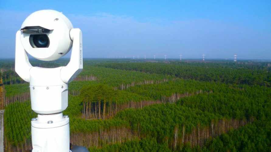 Фото носит иллюстративный характер