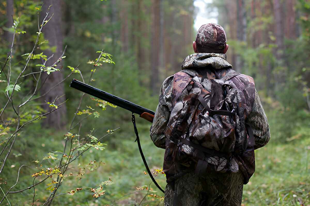 «Могут спокойно собирать грибы» – В Минлесхозе предупредили, кто и когда будет ходить с оружием в белорусских лесах