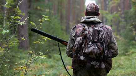«Могут спокойно собирать грибы» – В Минлесхозе предупредили, кто и когда будет ходить с оружием в белорусских лесах