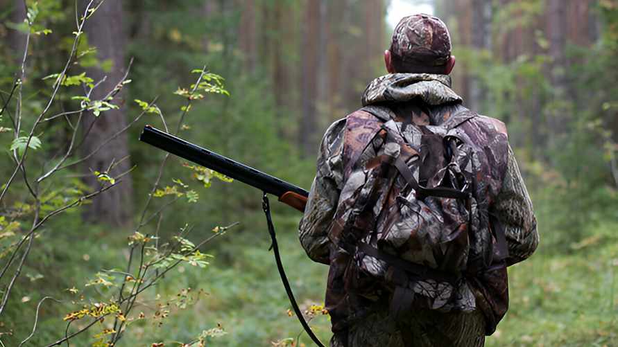 «Могут спокойно собирать грибы» – В Минлесхозе предупредили, кто и когда будет ходить с оружием в белорусских лесах