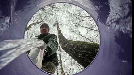 От 0,18 рубля за литр. Белорусские лесхозы массово включились в продажу березового сока. Какие цены?