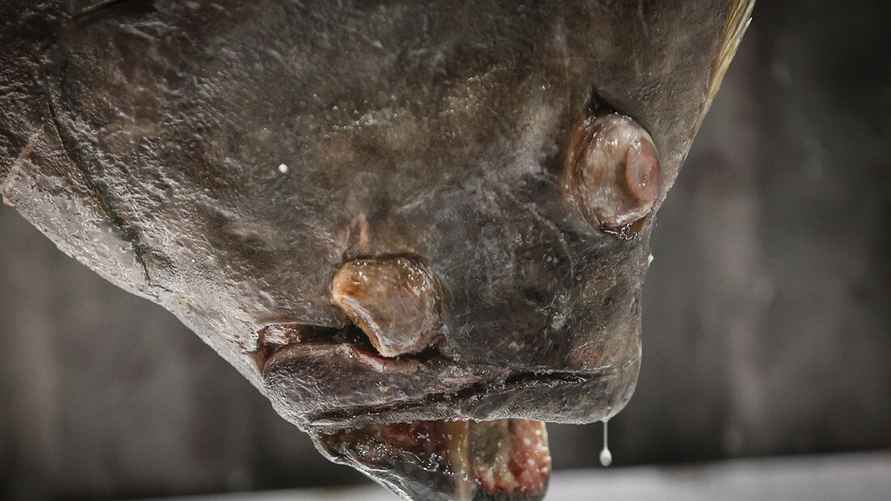 Фото: onliner.by