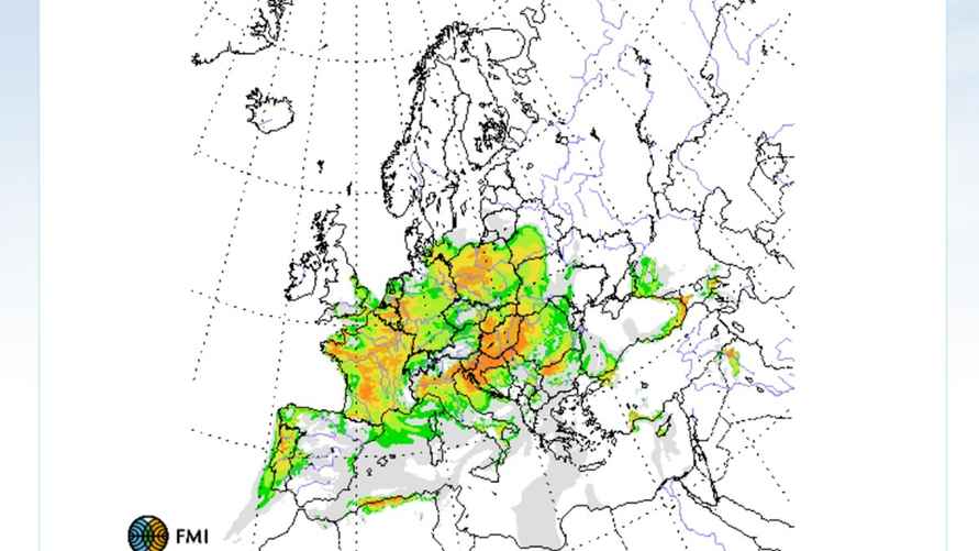 Концентрация пыльцы берёзы в воздухе