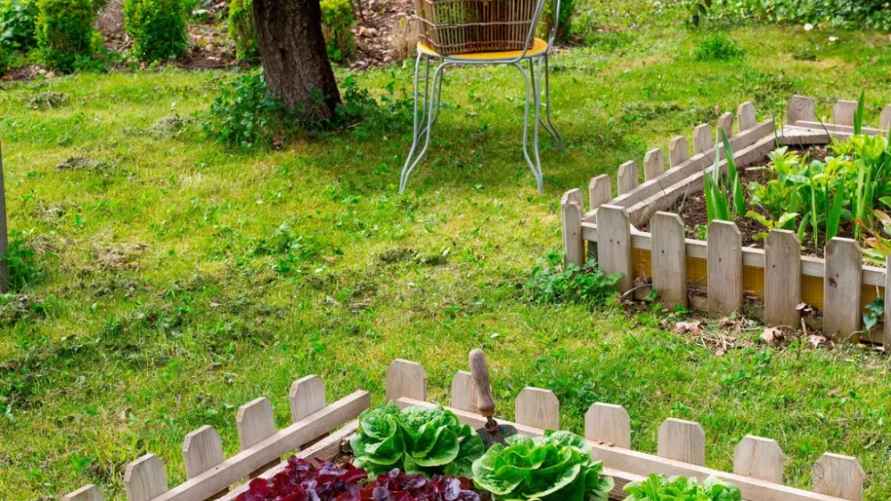 Пример грядки