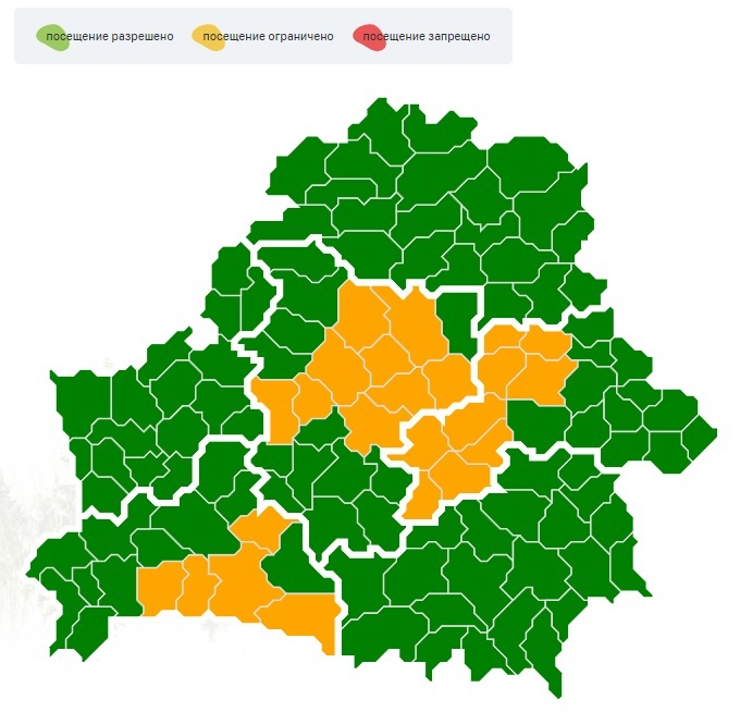 В Беларуси ограничили посещение лесов сразу в 23 районах