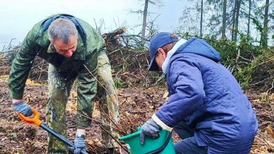 Минлесхоз пообещал белорусам подарки. Что нужно сделать взамен до 20 апреля?