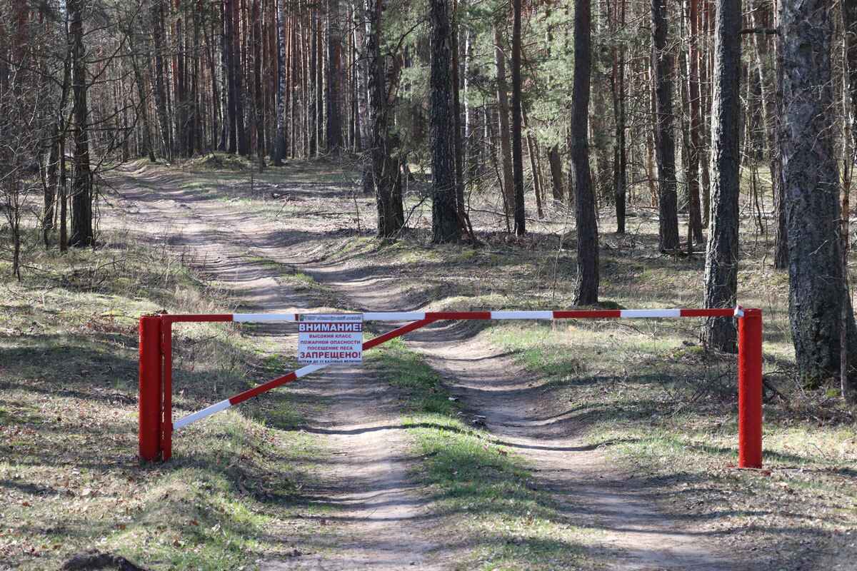 Фото иллюстрационное