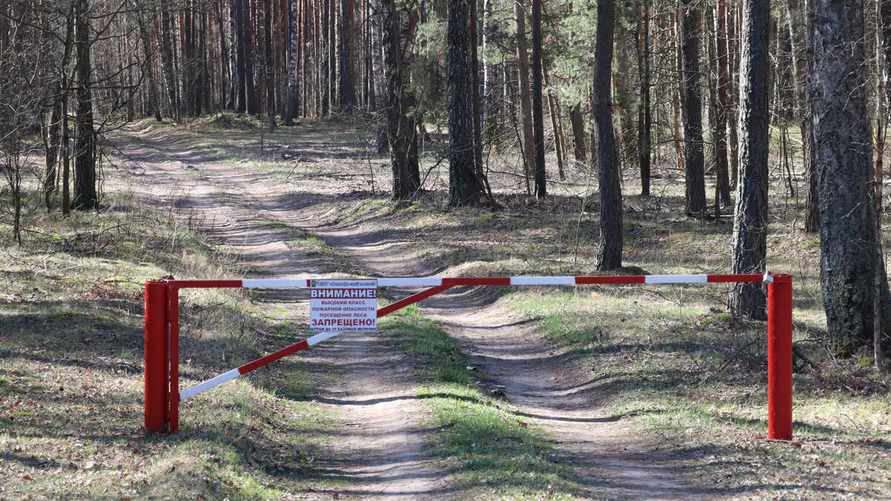 Фото иллюстрационное