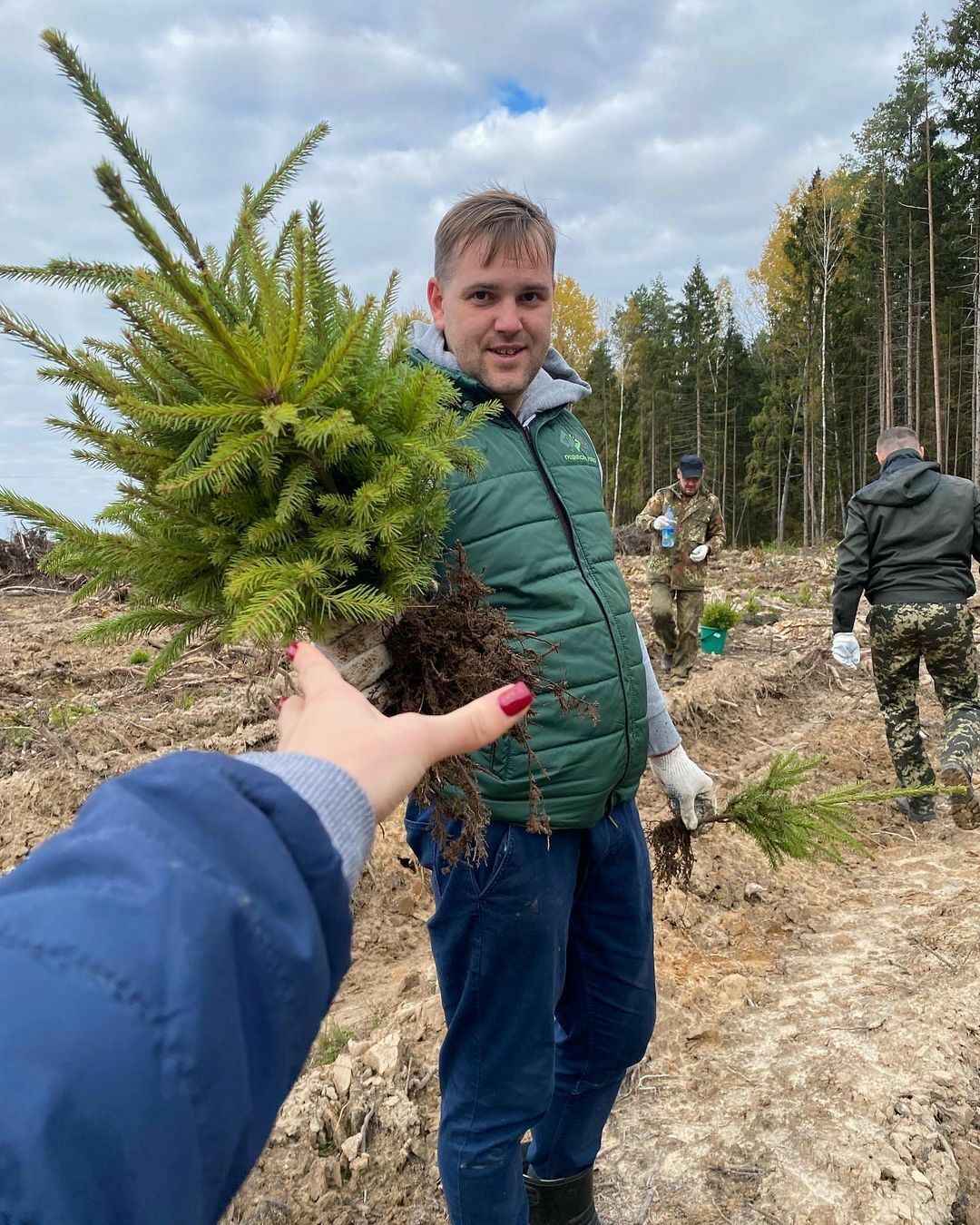 Гродненские лесхозы позвали белорусов садить лес. Сколько пообещали платить?