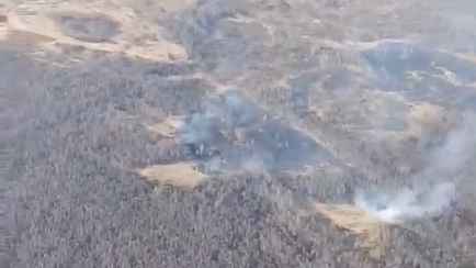 В Беларуси зафиксировали первые лесные пожары. Где?