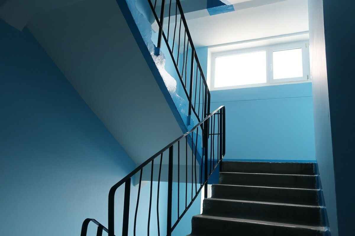 Фото носит иллюстративный характер