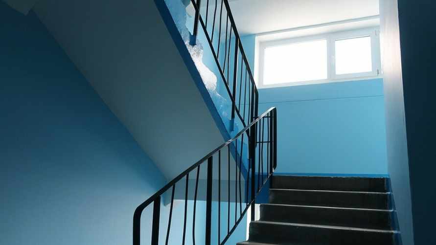 Фото носит иллюстративный характер