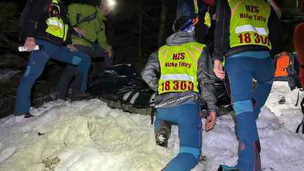 Белоруска погибла после нападения медведя в горах Словакии