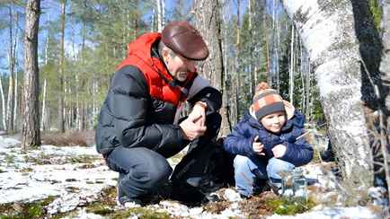 Как белорусам закатать березовый сок? Узнали, какие полезные элементы входят в его состав и нашли 3 вкусных рецепта