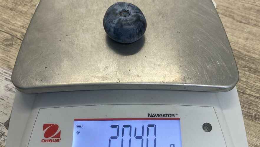 Фото: Costa Berries/Facebook