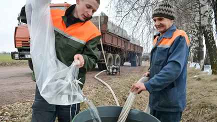 От 49 копеек за литр. Минский лесхоз объявил, где и когда начнут продавать берёзовый сок