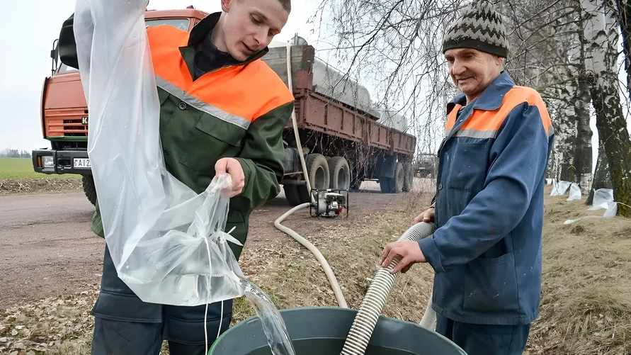 Фото иллюстрационное: "Вечерний Бобруйск"