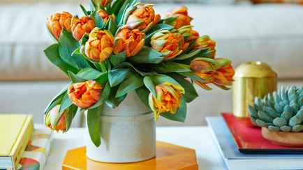 Что сделать, чтобы тюльпаны в вазе простояли дольше? Вот несколько хитростей
